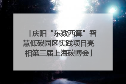庆阳“东数西算”智慧低碳园区实践项目亮相第三届上海碳博会