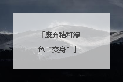 废弃秸秆绿色“变身”