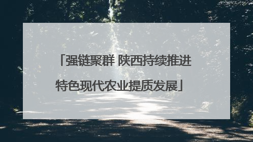 强链聚群 陕西持续推进特色现代农业提质发展