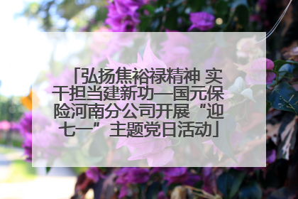 弘扬焦裕禄精神 实干担当建新功—国元保险河南分公司开展“迎七一”主题党日活动
