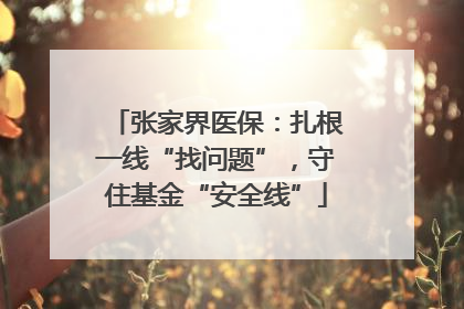 张家界医保：扎根一线“找问题”，守住基金“安全线”
