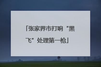 张家界市打响“黑飞”处理第一枪
