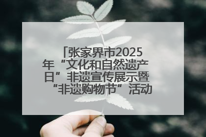 张家界市2025年“文化和自然遗产日”非遗宣传展示暨“非遗购物节”活动在慈利县盛大启幕
