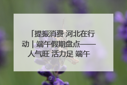 提振消费 河北在行动｜端午假期盘点——人气旺 活力足 端午经济“热浪”迭起