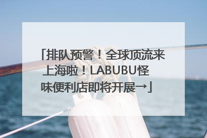 排队预警！全球顶流来上海啦！LABUBU怪味便利店即将开展→