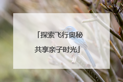 探索飞行奥秘 共享亲子时光