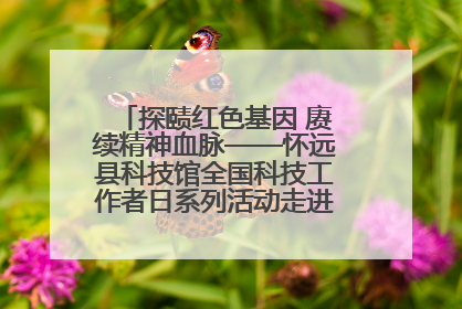 探赜红色基因 赓续精神血脉——怀远县科技馆全国科技工作者日系列活动走进怀远县实验中学