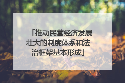 推动民营经济发展壮大的制度体系和法治框架基本形成