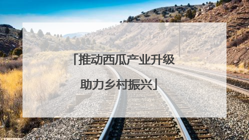 推动西瓜产业升级 助力乡村振兴