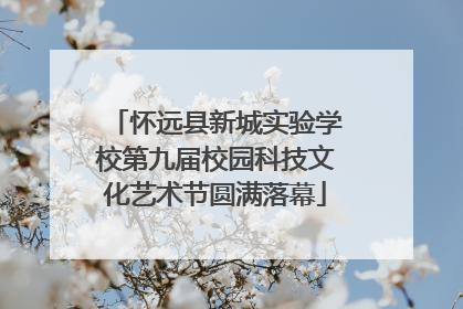 怀远县新城实验学校第九届校园科技文化艺术节圆满落幕