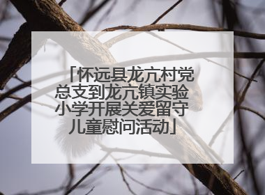 怀远县龙亢村党总支到龙亢镇实验小学开展关爱留守儿童慰问活动