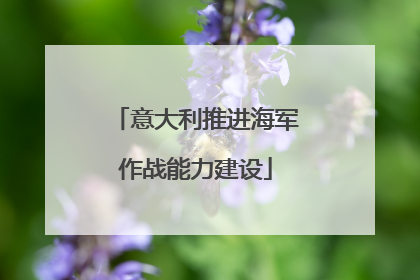 意大利推进海军作战能力建设