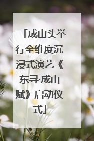 成山头举行全维度沉浸式演艺《东寻·成山赋》启动仪式