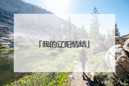 我的辽阳情结