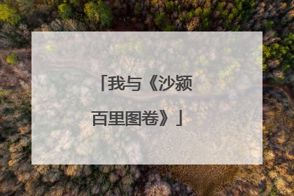 我与《沙颍百里图卷》