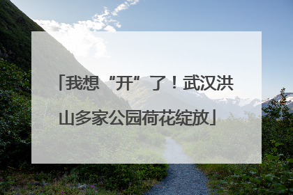 我想“开”了！武汉洪山多家公园荷花绽放