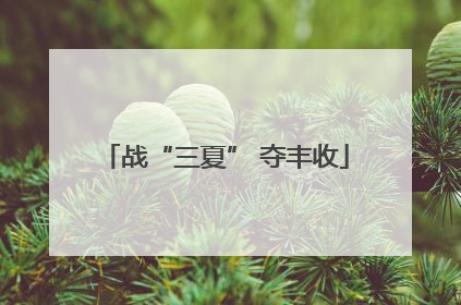 战“三夏” 夺丰收