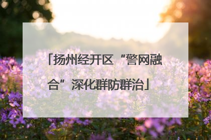 扬州经开区“警网融合”深化群防群治