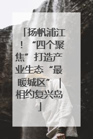 扬帆浦江！“四个聚焦”打造产业生态“最暖城区”｜相约复兴岛