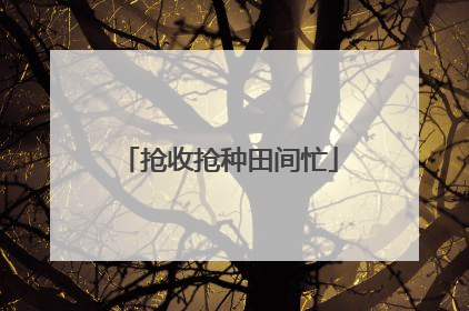 抢收抢种田间忙