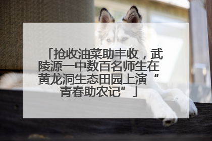 抢收油菜助丰收，武陵源一中数百名师生在黄龙洞生态田园上演“青春助农记”