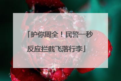 护你周全！民警一秒反应拦截飞落行李
