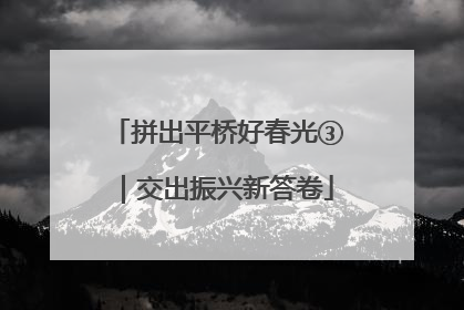拼出平桥好春光③｜交出振兴新答卷