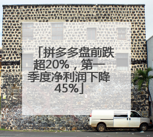 拼多多盘前跌超20%，第一季度净利润下降45%