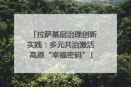 拉萨基层治理创新实践：多元共治激活高原“幸福密码”