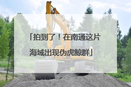 拍到了！在南通这片海域出现伪虎鲸群