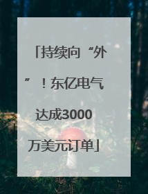 持续向“外”！东亿电气达成3000万美元订单