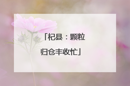 杞县：颗粒归仓丰收忙