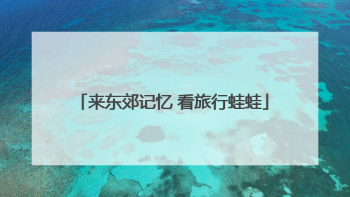 来东郊记忆 看旅行蛙蛙