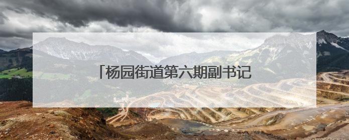 杨园街道第六期副书记“圆桌谈”：以基层治理实践助力战略支点建设