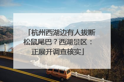 杭州西湖边有人拔断松鼠尾巴？西湖景区：正展开调查核实