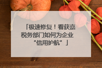 极速修复！看获嘉税务部门如何为企业“信用护航”