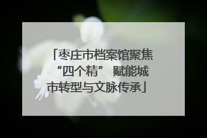 枣庄市档案馆聚焦“四个精” 赋能城市转型与文脉传承