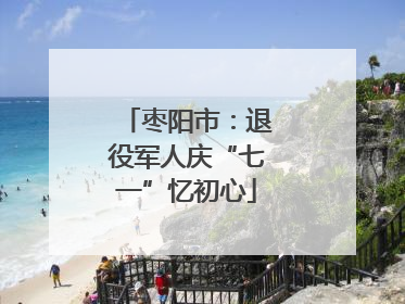 枣阳市：退役军人庆“七一”忆初心
