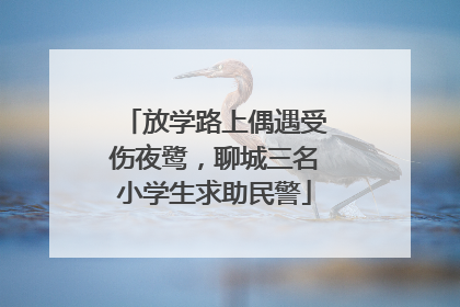 放学路上偶遇受伤夜鹭，聊城三名小学生求助民警