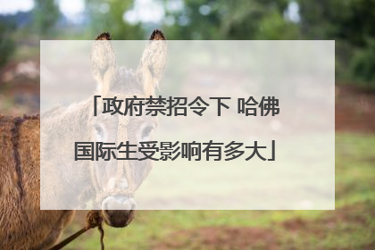 政府禁招令下 哈佛国际生受影响有多大