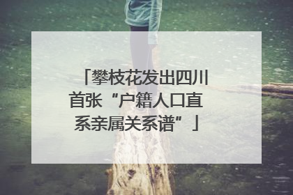 攀枝花发出四川首张“户籍人口直系亲属关系谱”