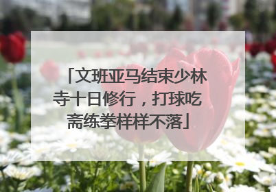 文班亚马结束少林寺十日修行，打球吃斋练拳样样不落