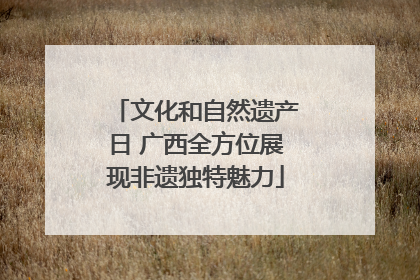 文化和自然遗产日 广西全方位展现非遗独特魅力