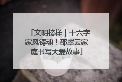 文明榜样｜十六字家风铸魂！邵翠云家庭书写大爱故事