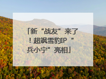 新“战友”来了！超飒雪豹IP“兵小宁”亮相