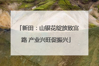 新田：山银花绽放致富路 产业兴旺促振兴