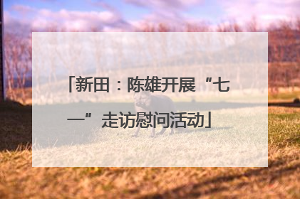 新田：陈雄开展“七一”走访慰问活动