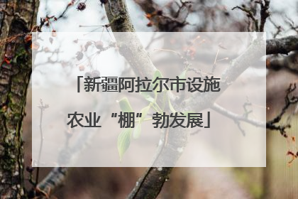 新疆阿拉尔市设施农业“棚”勃发展