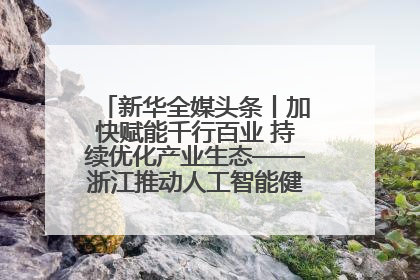 新华全媒头条丨加快赋能千行百业 持续优化产业生态——浙江推动人工智能健康有序发展观察