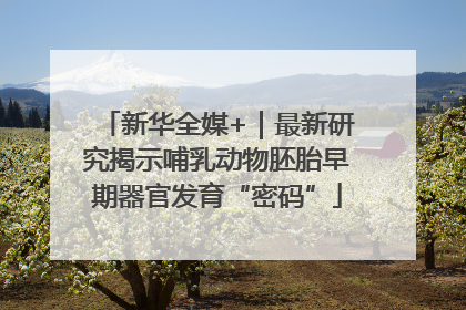 新华全媒+｜最新研究揭示哺乳动物胚胎早期器官发育“密码”